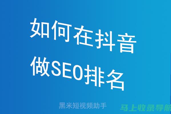 抖音SEO软件工具实战案例分享：成功秘诀揭秘